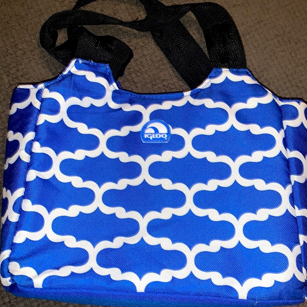 Igloo insulated lunch bag